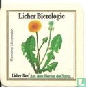 Gemeiner Löwenzahn 1 (9 cm)