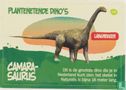 Camarasaurus  - Bild 1