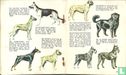 Honden