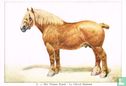 Het Vlaams Paard - Image 1