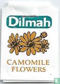 Camomile Flowers  - Afbeelding 3