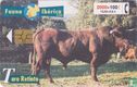 Toro Retinto