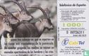 Cabra Montés [capra pyrenaica victoriae] - Bild 2