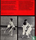 Judo in Evolution - Image 2