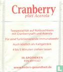 Cranberry plus Acerola - Image 2
