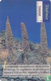 Cañadas del Teide - Afbeelding 2