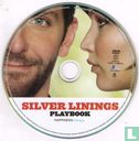 Silver Linings Playbook - Image 3