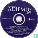 Adiemus Live - Afbeelding 3