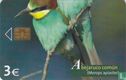 Abejaruco Común [Merops apiaster] - Afbeelding 1