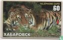 Tiger Chabarovsk Zoo - Image 1