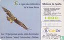 Aguila imperial [aquila heliaca adalberti] - Afbeelding 2