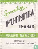 Pu-Erh Tea - Bild 1