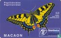 Mariposas Papilio machaon - Afbeelding 2