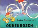 lekker fietsen in ... Oudenbosch (PL0162) - Image 1