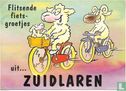 Flitsende fiets-groetjes uit ... Zuidlaren (PL0249) - Image 1