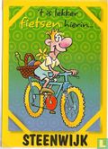 't is lekker fietsen hierin Steenwijk (PL0350) - Afbeelding 1