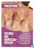Sporen van Hadrosaurussen - Afbeelding 1