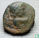 Séleucides  AE19  (Antiochos VII, Sidetes)  138-129 BCE - Image 2