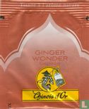Ginger Wonder - Image 1