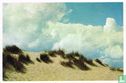 De Vlaamse duinen - Afbeelding 1