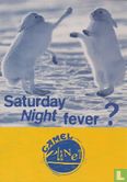 0377 - Camel Planet "Saturday Night fever?" - Bild 1