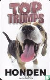 Top Trumps Honden - Image 2