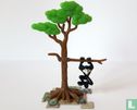 Schwarze Affe im Baum - Bild 1