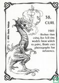 Curl - Image 2