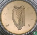 Ierland 50 euro 2016 (PROOF) "Centenary of the Proclamation of the Irish Republic" - Afbeelding 1