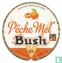 Bush 'Peche Mel'   - Image 1