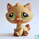 Tabby  - Image 1