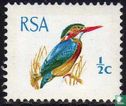 Kingfisher - Image 1