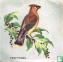 Pestvogel - Image 1