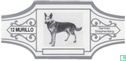 German Shepherddog  - Image 1