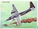 Mallard