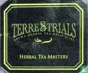 Aroma Herbal Tea Delicacies - Image 3