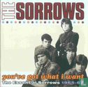 You've Got What I Want - The Essential Sorrows 1965-67 - Afbeelding 1