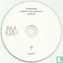 Ambient Improvisations 18.04.04 - Image 3