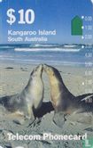 Kangaroo island - Image 1