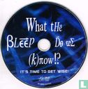 What the Bleep Do We Know!? - Afbeelding 3