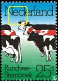 Rinder-Herde-Buch - Bild 1