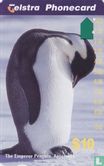The Emperor Penguin - Image 1