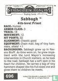 Sabbagh - 4th-level Priest - Afbeelding 2