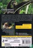 Chimpansees in gevaar - Image 2