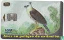 Aguila Crestada - Afbeelding 1