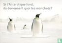 3768* - pass "Si l'Antarctique fond, ..."  - Image 1