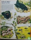 Bobo [Nederlands] 49 - Bild 2