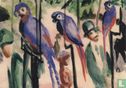 Bei den Papageien, 1914 - Afbeelding 1
