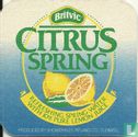 Citrus Spring - Image 1