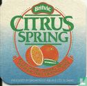 Citrus Spring - Image 2